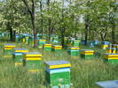 DSCF1335