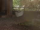 Picture 047