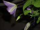 DSCI0635