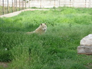 Picture 110