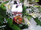 Imag009