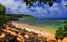 Beach-Shade-Moloaa-Kauai-Hawaii