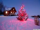 beautiful-snow-on-night_800