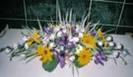 imagesCATK7ORK