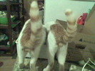 Imag018