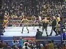 Team_Hogans_vs__Team_Andre_The_Giants