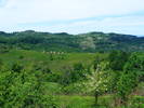 DSCF0554