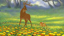 bambi2[3]