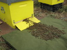 IMG_0006 (2)
