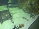PICT0107