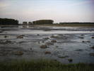 PICT0020