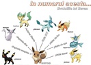 Pagina 2 Evolutiile lui Eevee