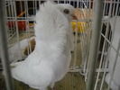DSCN0174