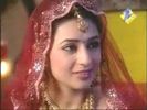 vidya31
