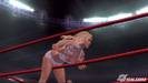 wwe-smackdown-vs-raw-2007-20061019040552217_640w