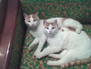 Imag040