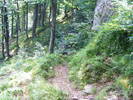DSCF4504