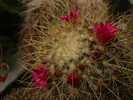 DSC09594