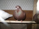 DSC08067