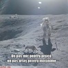 pisica pe luna