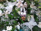 Imag011