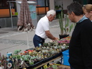 DSC09826