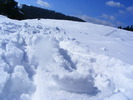 DSCF6946