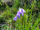 DSCF3036