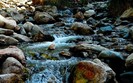 Planet Scenes 188