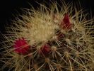 DSC02601
