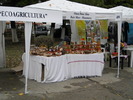 DSCN3185