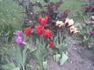 Imag005