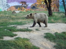 Picture 026