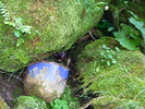 DSCF5142