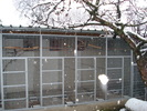volire 30 de boxe 2*2*1m