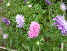 16 mai 2009 139