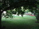 DSCF0677