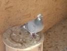 dscn1395