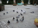 DSCN0141