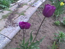 Imag052