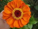 Picture 021