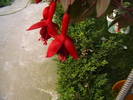 Picture 023