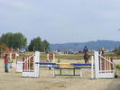 Picture 115