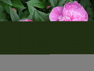 DSCI0636