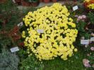 DSC00086