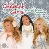 cheetah girls (26)