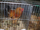 P8161841