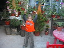 Picture 075