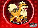 growlithe[1]