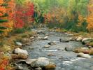 Photo Wallpapers Autumn Desktop Fall Wallpaper